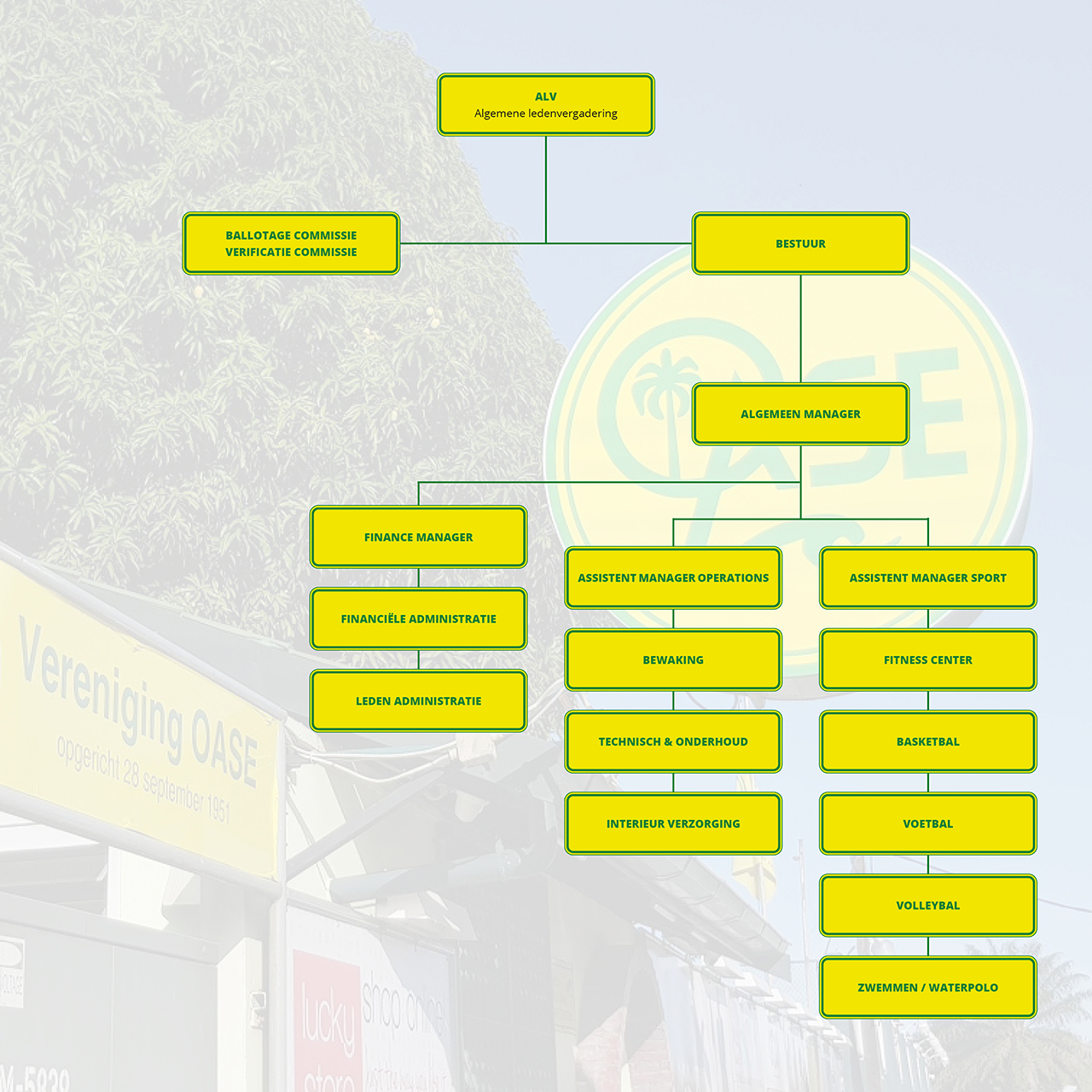 https://dev.cluboase.sr/wp-content/uploads/2023/02/Oase_Organogram_small.jpg