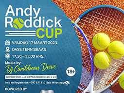 Andy Roddick Cup